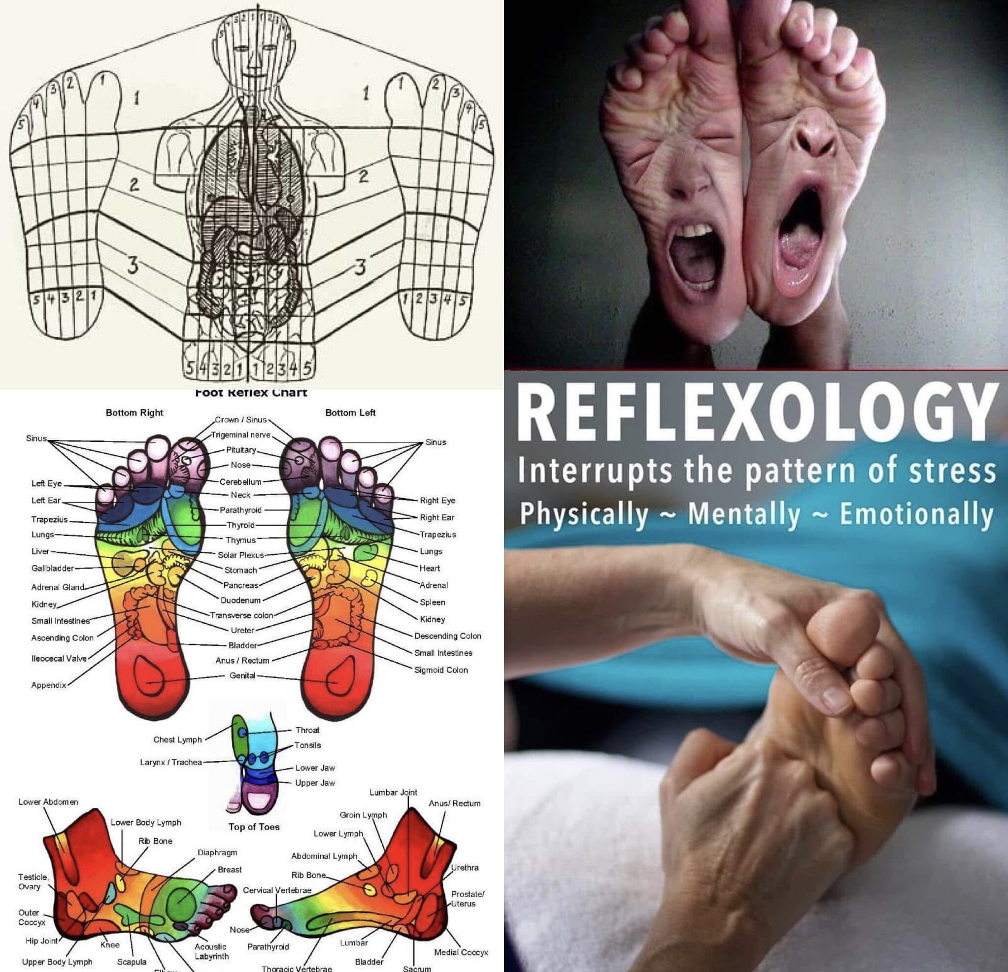 On Reflexology